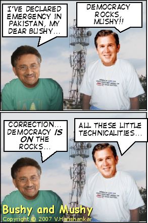 Bushy and Mushy - Democracy Rocks