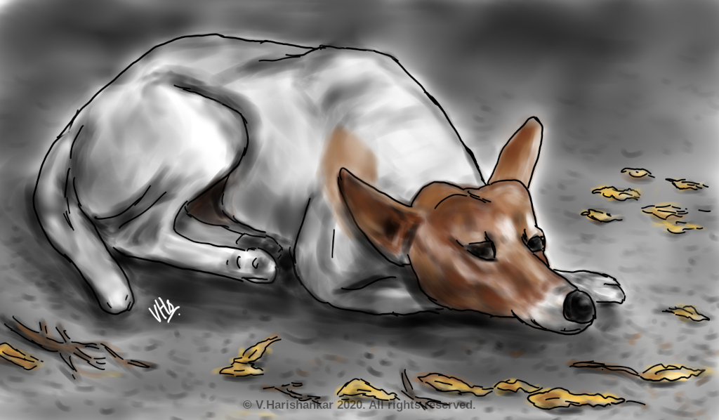 Final painting of the resting dog